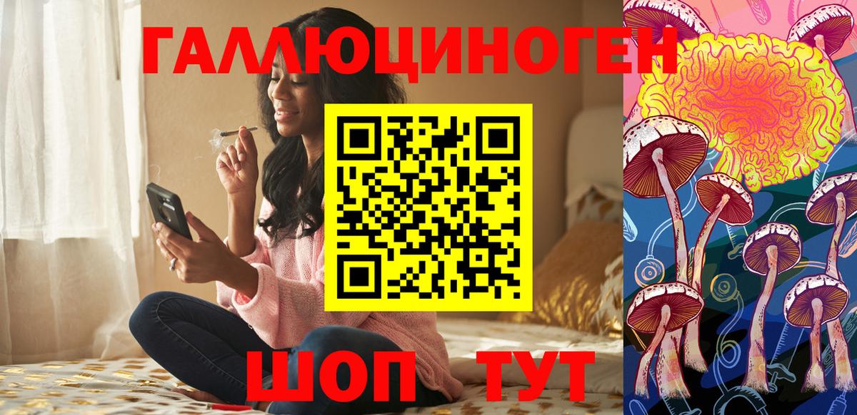 Галлюциногенные грибы Psilocybe Черкесск