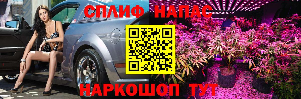 Конопля White Widow  Вход с VPN  Бошки Шишки VHQ  Черкесск 